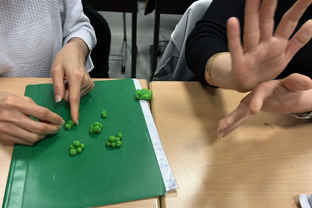 Studierende der H1 beim Modellieren im Fach NAWI