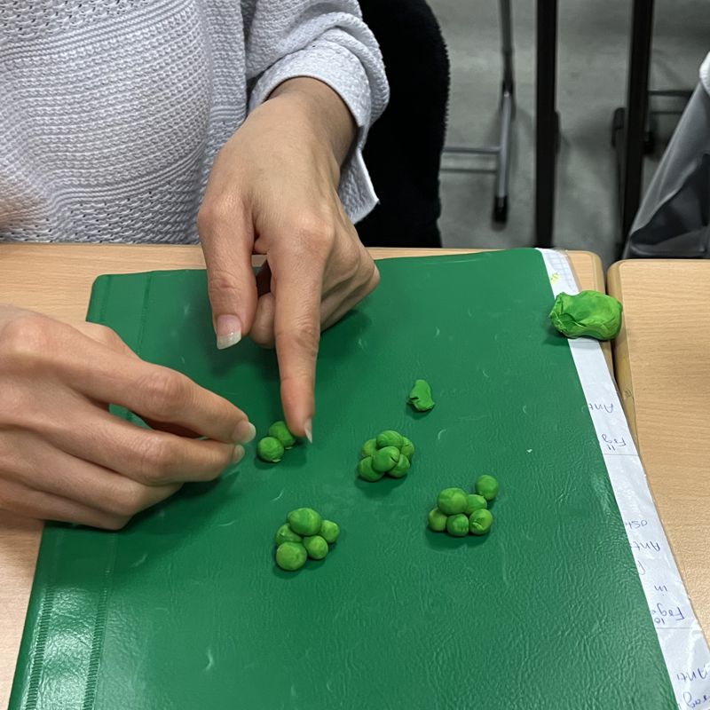 Studierende der H1 beim Modellieren im Fach NAWI